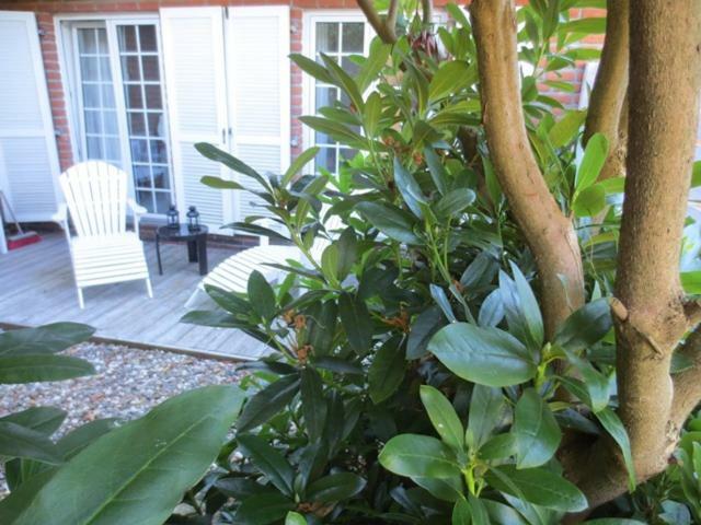 Luft Und Meer 4**** Ferienwohnung Hage المظهر الخارجي الصورة
